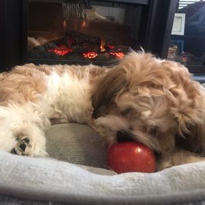 Meet your Posher, Rene